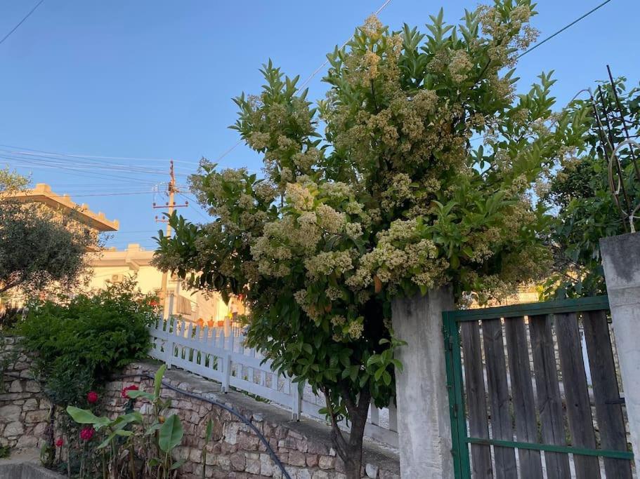 Guesthouse Xhimi Ksamil Luaran gambar